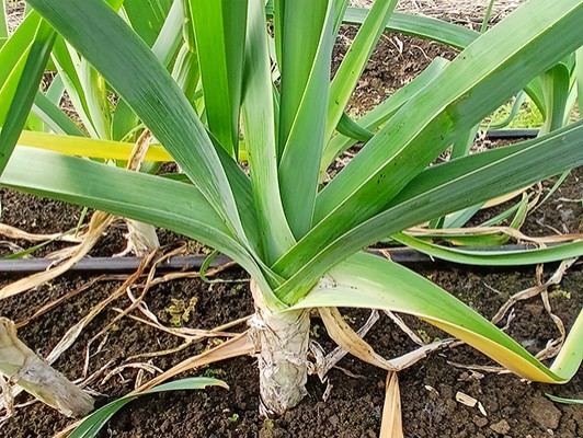 이미지 상세보기