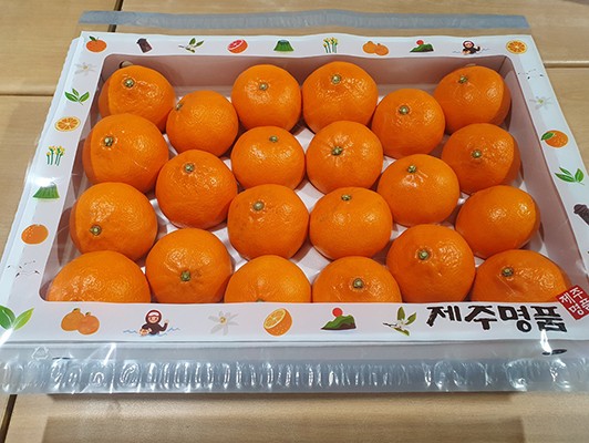 이미지 상세보기