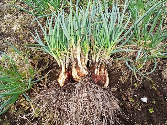 이미지 상세보기