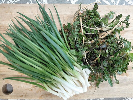 이미지 상세보기