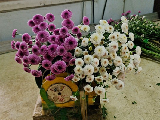 이미지 상세보기